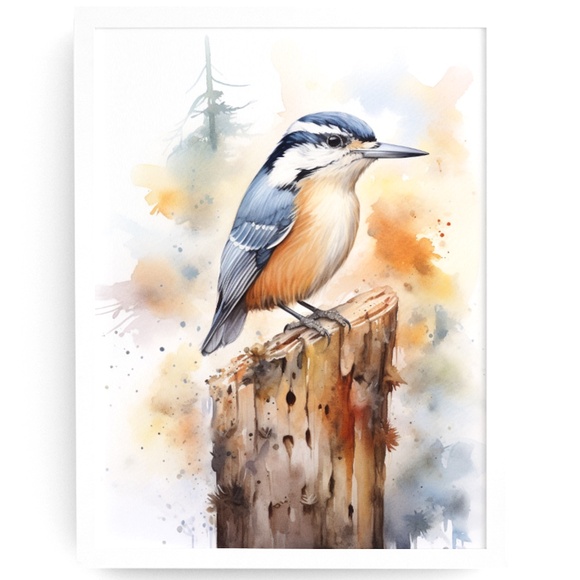 Creative Path Studios Other - Red-breasted Nuthatch Bird Wall Art Watercolor Illustration Print Unframed